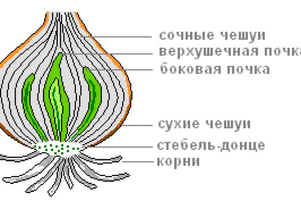 Кракен ты знаешь где покупать